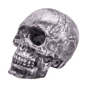 Skull Tabletop Decoration