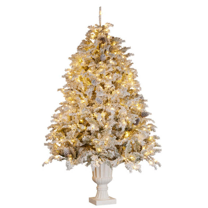 Ronis Christmas Tree Potted with Lights Potted Alpine Fir 7.5ft