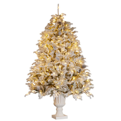 Ronis Christmas Tree Potted with Lights Potted Alpine Fir 7.5ft