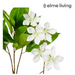 Ronis Island Blossom Spray White 36x30x104cm