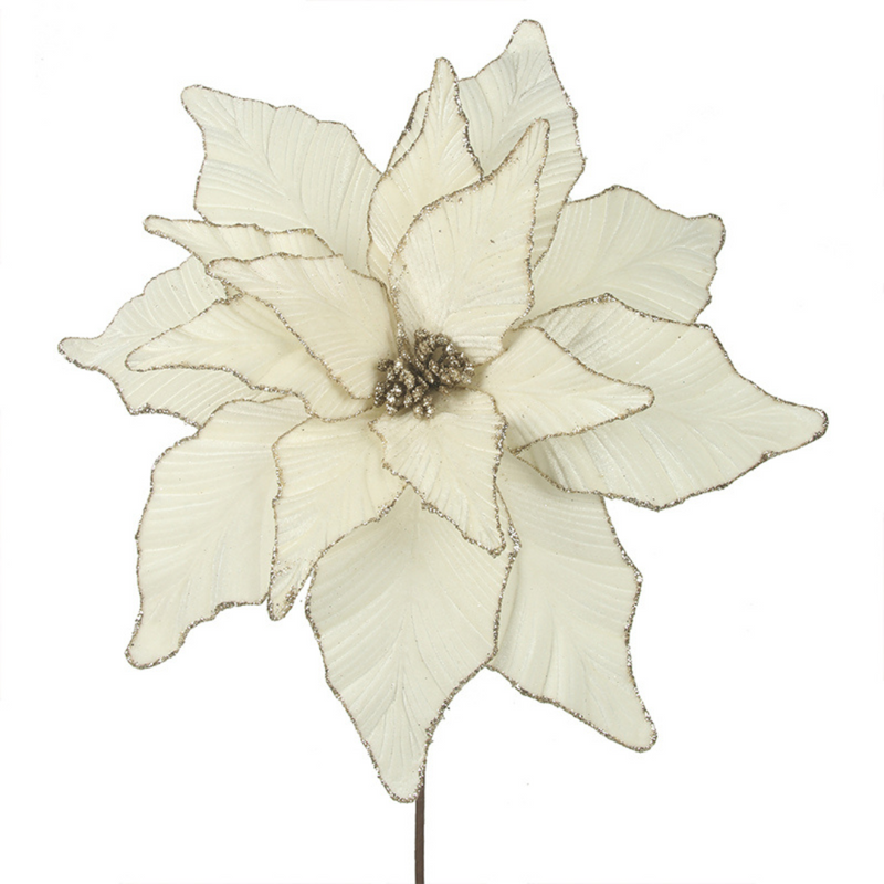 Ronis Ivory Poinsettia with Champagne Glitter Edge 45cmD with 50cm Stem 16 Leaves