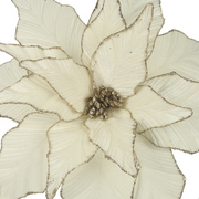 Ronis Ivory Poinsettia with Champagne Glitter Edge 45cmD with 50cm Stem 16 Leaves