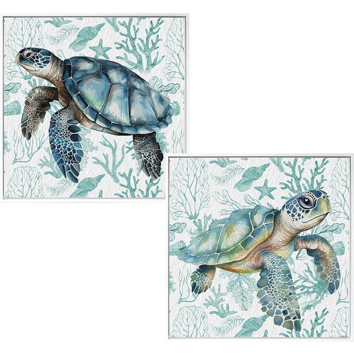 100X100CM COASTAL TURTLE FRAMED PRINT 2A