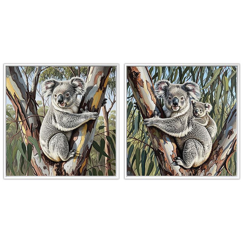 Assorted framed koala in tree artwork 40x40cm