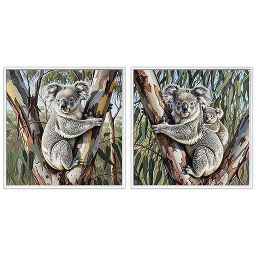 Assorted framed koala in tree artwork 40x40cm