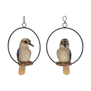 Ronis Kookaburra in Ring 20cm – thumbnail