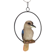 Ronis Kookaburra in Ring 20cm – thumbnail
