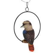 Ronis Kookaburra in Ring 20cm – thumbnail