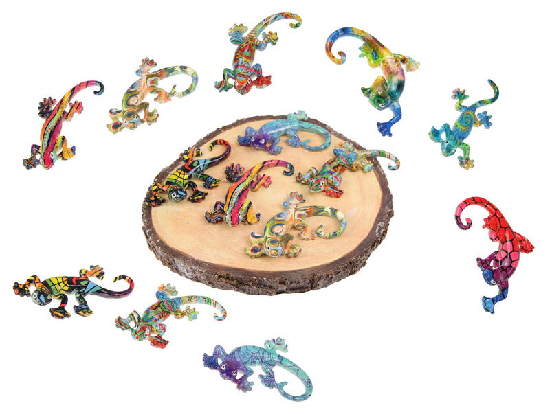 Multi Coloured Lizard on Dis play 9cm