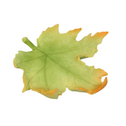 Ronis Ladybug Marble Finish On Lilipad 7cm