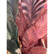 Ronis Leaf Stem 68cm Blue Lavender Assorted