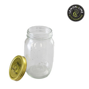 Lemon and Lime Roma Glass Conserve Jars Tray Gold Lids 10x10x17cm 1L 6pk – thumbnail