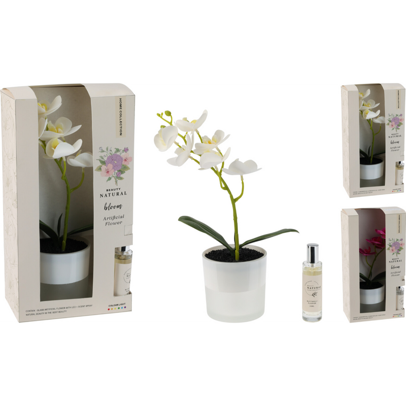 scented LED flower decoration in 2 assorted styles
