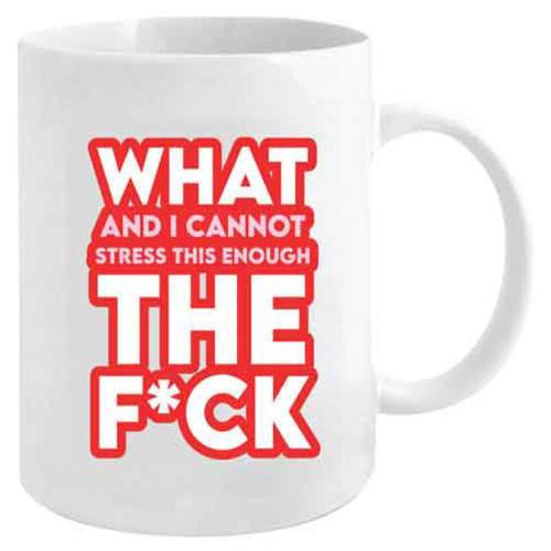 Novelty Mug What And I Cannot Stress This Enough Mug 12oz