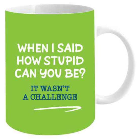 Novelty Mug When I Said How Stupid Can You Be? Mug 12oz