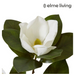 Ronis Magnolia Flower Spray White 40x40x85cm