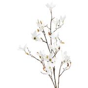 Magnolia Tree Spray White 115cml
