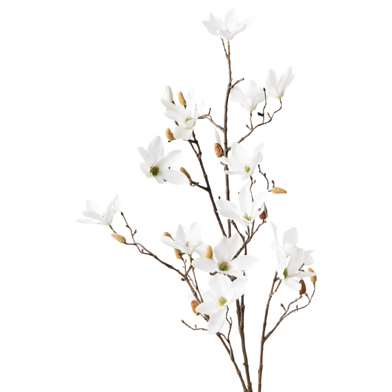 Magnolia Tree Spray White 115cml
