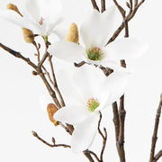 Magnolia Tree Spray White 115cml