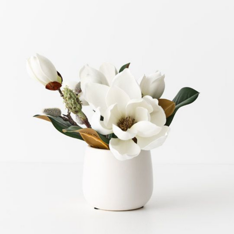 Ronis Magnolia Japanese Mix in Pot White 23cmh