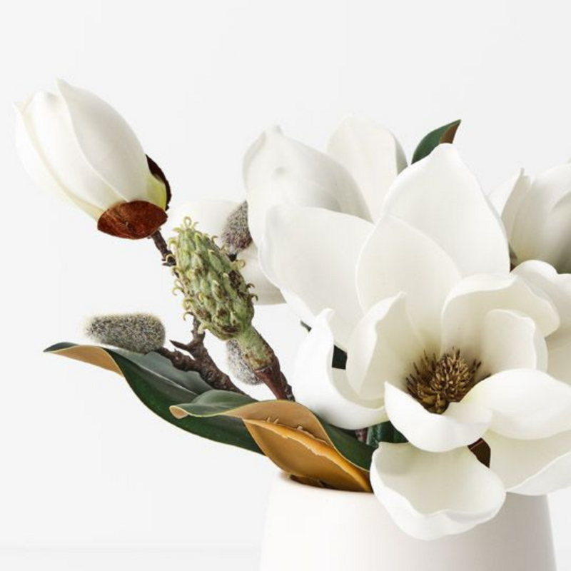 Ronis Magnolia Japanese Mix in Pot White 23cmh