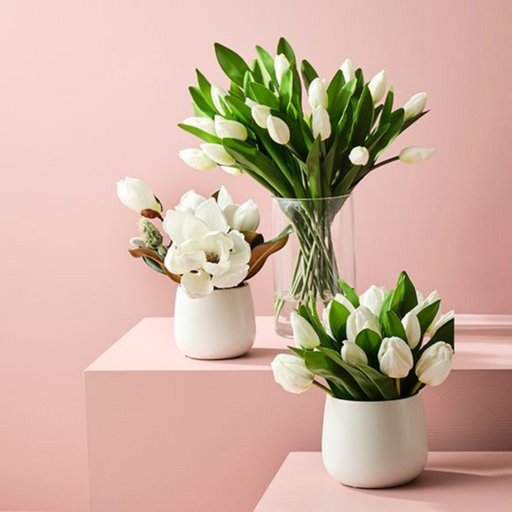 Ronis Magnolia Japanese Mix in Pot White 23cmh