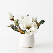 Ronis Magnolia Japanese Mix in Pot White 33cmh – thumbnail