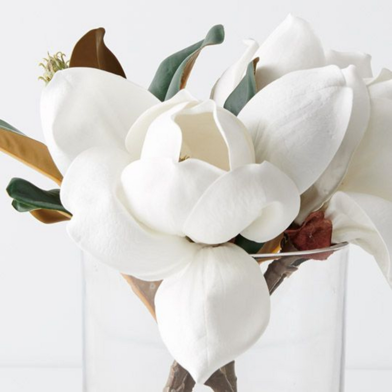 Ronis Magnolia Mix in Vase White 27cmh