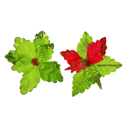 Two decorative snow globes with houses and trees on a white background