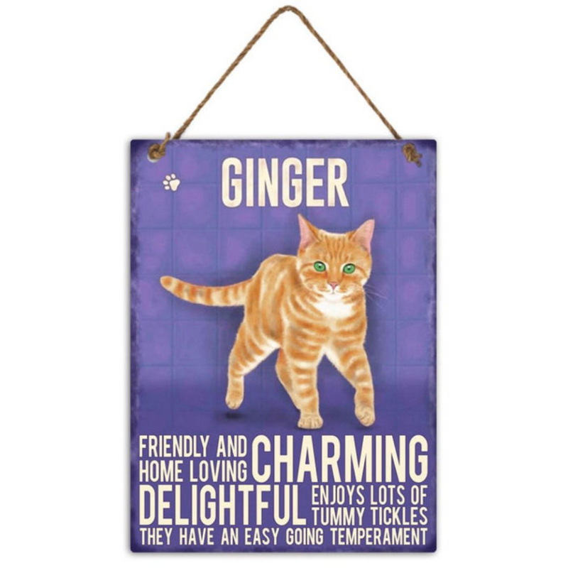 Ronis Metal Ginger Cat Wall Hanging 20x27cm