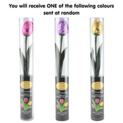 Ronis Milk Chocolate Tulip Cylinder 15g