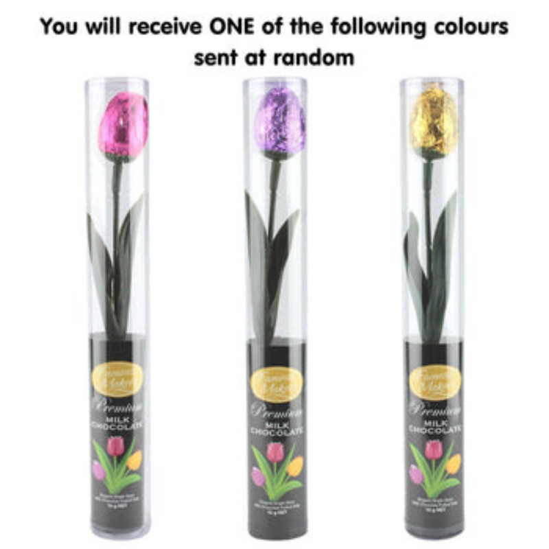 Ronis Milk Chocolate Tulip Cylinder 15g