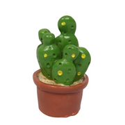Ronis Mini Craft Cactus 3cm Assorted