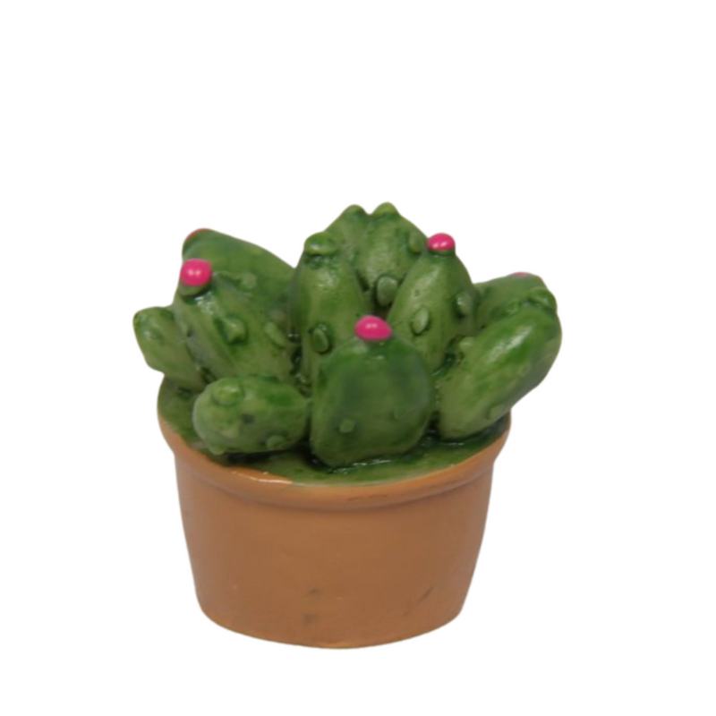 Ronis Mini Craft Cactus 3cm Assorted