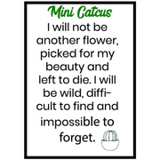 Ronis Mini Craft Cactus 3cm Assorted