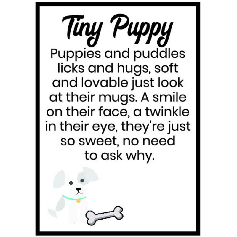 Ronis Miniature Dogs 4cm Assorted