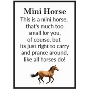 Ronis Miniature Horses Assorted