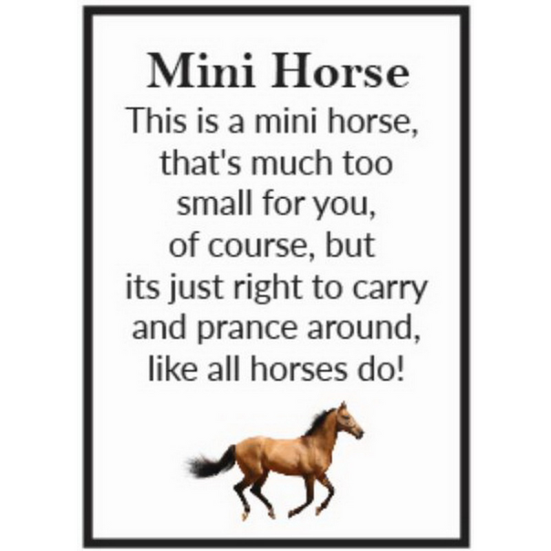 Ronis Miniature Horses Assorted