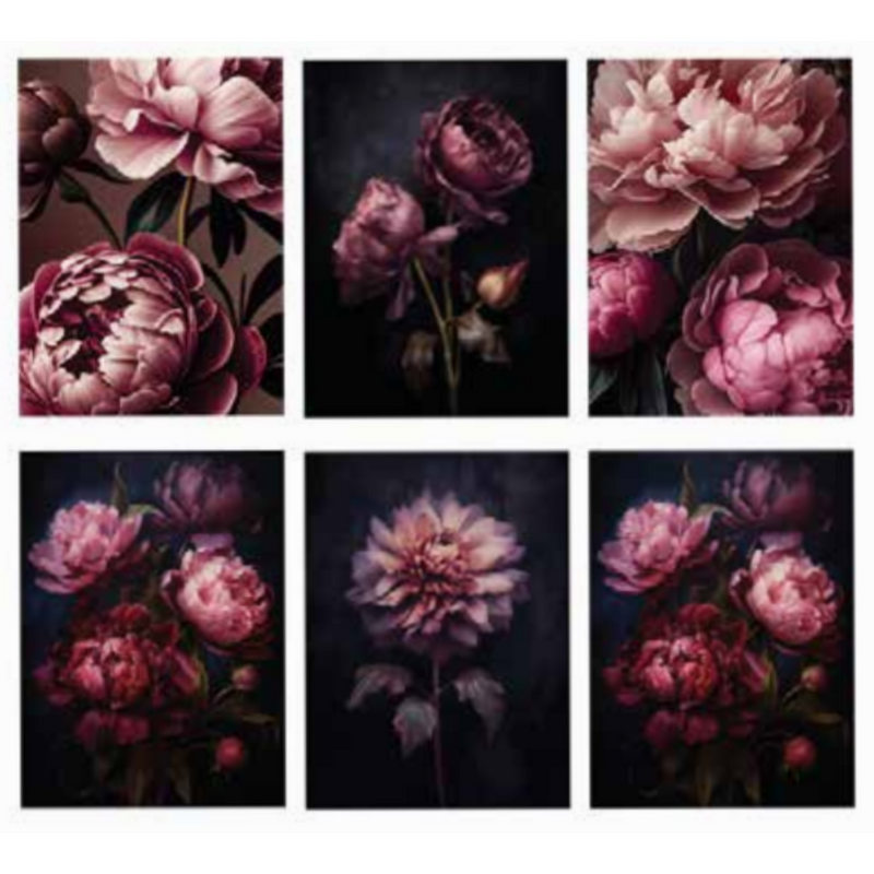 Ronis Moody Blooms Canvas 60x80cm Assorted