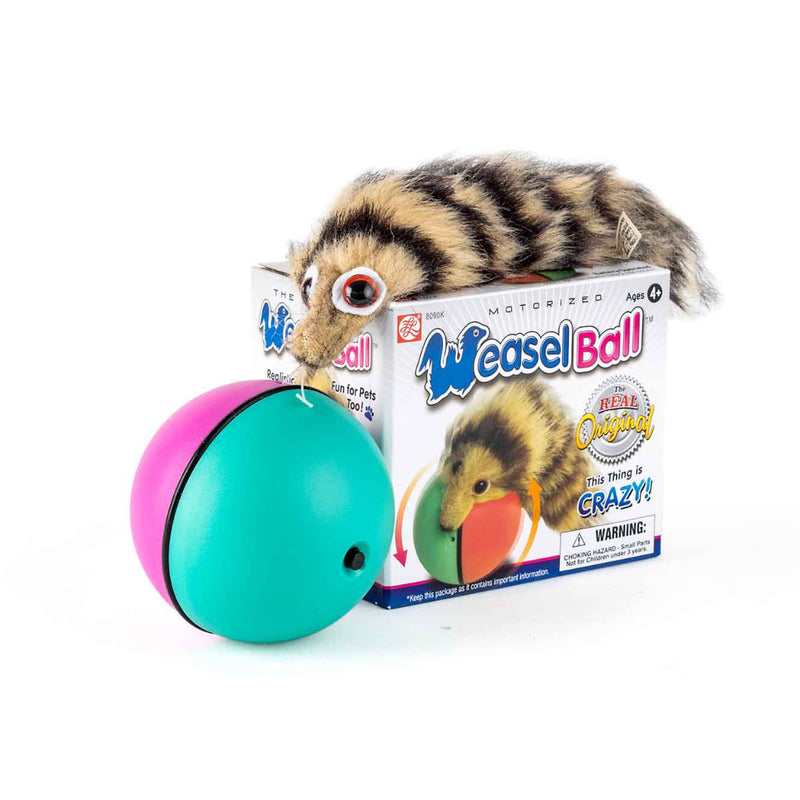 Crazy Weasel 24cm Pet 8.5cm Ball 1Xaa image 4