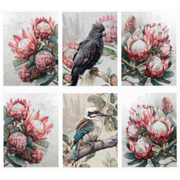 Ronis Native Protea Canvas 60x80cm Assorted