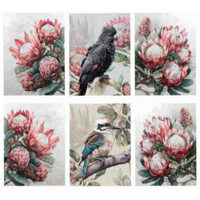 Ronis Native Protea Canvas 60x80cm Assorted
