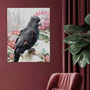 Ronis Native Protea Canvas 60x80cm Assorted