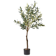 Olive Tree Green 122cmh – thumbnail