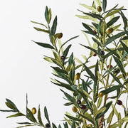 Olive Tree Green 122cmh – thumbnail