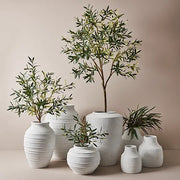 Olive Tree Green 122cmh – thumbnail