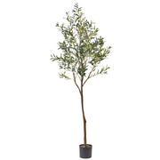 Olive Tree Green 213cmh – thumbnail