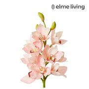 Ronis Orchid Cymbidium Spray Pink 18x18x61cm