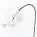 Orchid Phalaenopsis Infused Mini Winter White 51cml