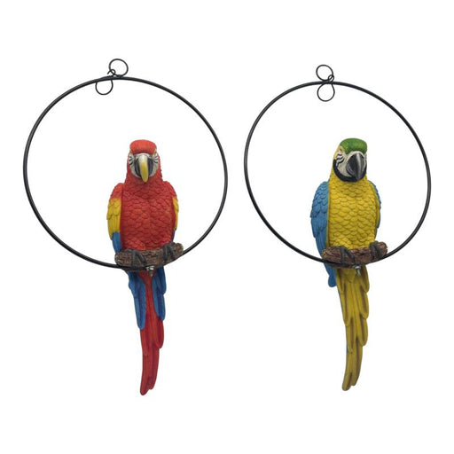 Assorted parrot in decorative ring 31cm